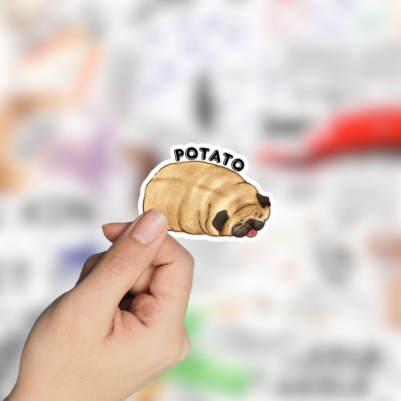 May include: A sticker of a brown pug dog curled up in a ball with the text "POTATO" above it.