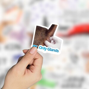 May include: A sticker with a close-up image of a dog's tail and the text "Only Glands" in blue.