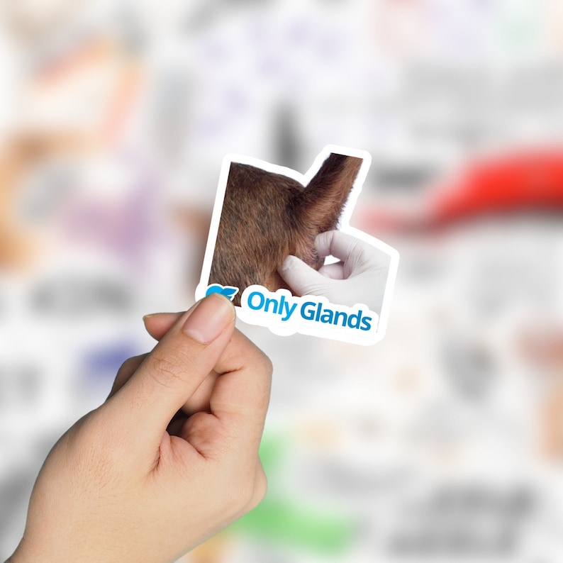 May include: A sticker with a close-up image of a dog's tail and the text "Only Glands" in blue.