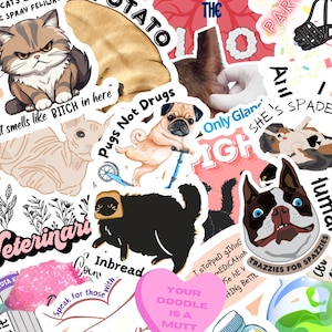 Vet Tech Sticker Pack, Cute Veterinary Stickers, Vet Med Sticker Sheet, Funny Gifts for Vet Tech Week, Vet Student Accessories