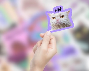 Funny WAP Cat Sticker: Waterproof Vinyl Vet Tech Gift