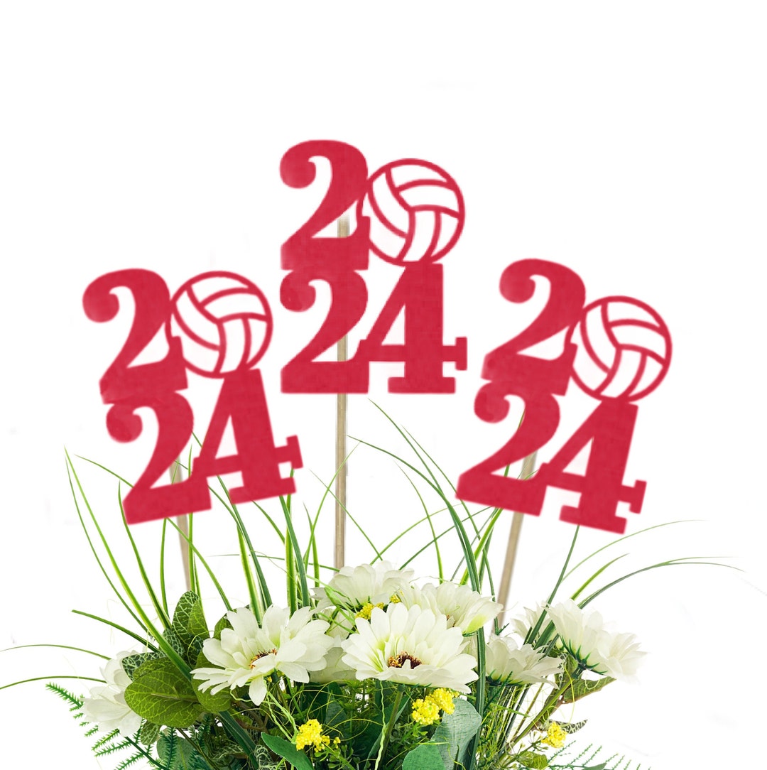 2025 Volleyball Centerpiece Picks Class of 2025 Graduation Party Decor, College Graduation
