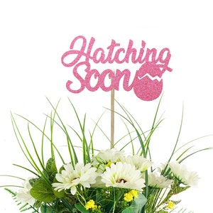 Hatching Soon Centerpiece Picks - Farm Themed Baby Shower Table Decoration, Dinosaur shower, Little Chick