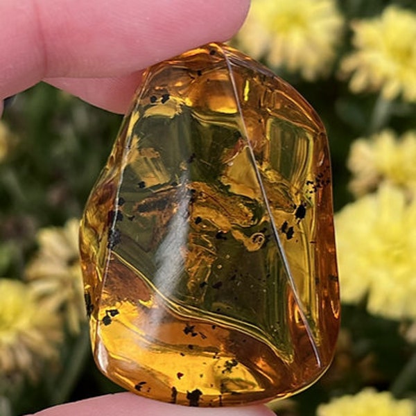 Polished Chiapas Amber with Bug Inclusions - Crystal - Crystals - Chiapas Mexico - Rare Crystal - Inclusion - Bugs