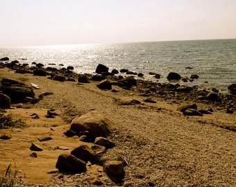 Scenic Beach Photograph Print