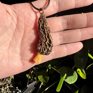 Real Morel Mushroom Resin Sealed Jewelry Necklace
