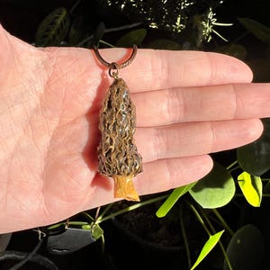 Real Morel Mushroom Resin Sealed Jewelry Necklace