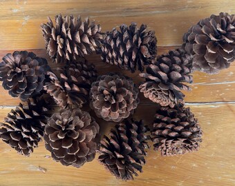 May include: A collection of brown pine cones of various sizes, arranged on a light brown wooden surface. The pine cones have a textured, scaly appearance, with a range of dark and light brown hues.