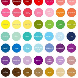 May include: A chart of 60 color swatches with names for each color. The colors are arranged in rows and columns, with the names of the colors printed below each swatch.