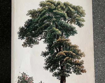 Baumkulturen