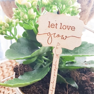 Deixe o amor crescer estaca suculenta casamento favor planta tag bandeira planta estaca casamento favor chá de bebê favor planta tags marcador de planta de madeira
