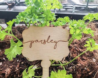 Holzkräutermarker Gemüsegartenschild Gartenarbeit Geschenke für Gärtner Pflanzenmarker Laser gravierte Holzeinsätze Holzkräutergartenschilder