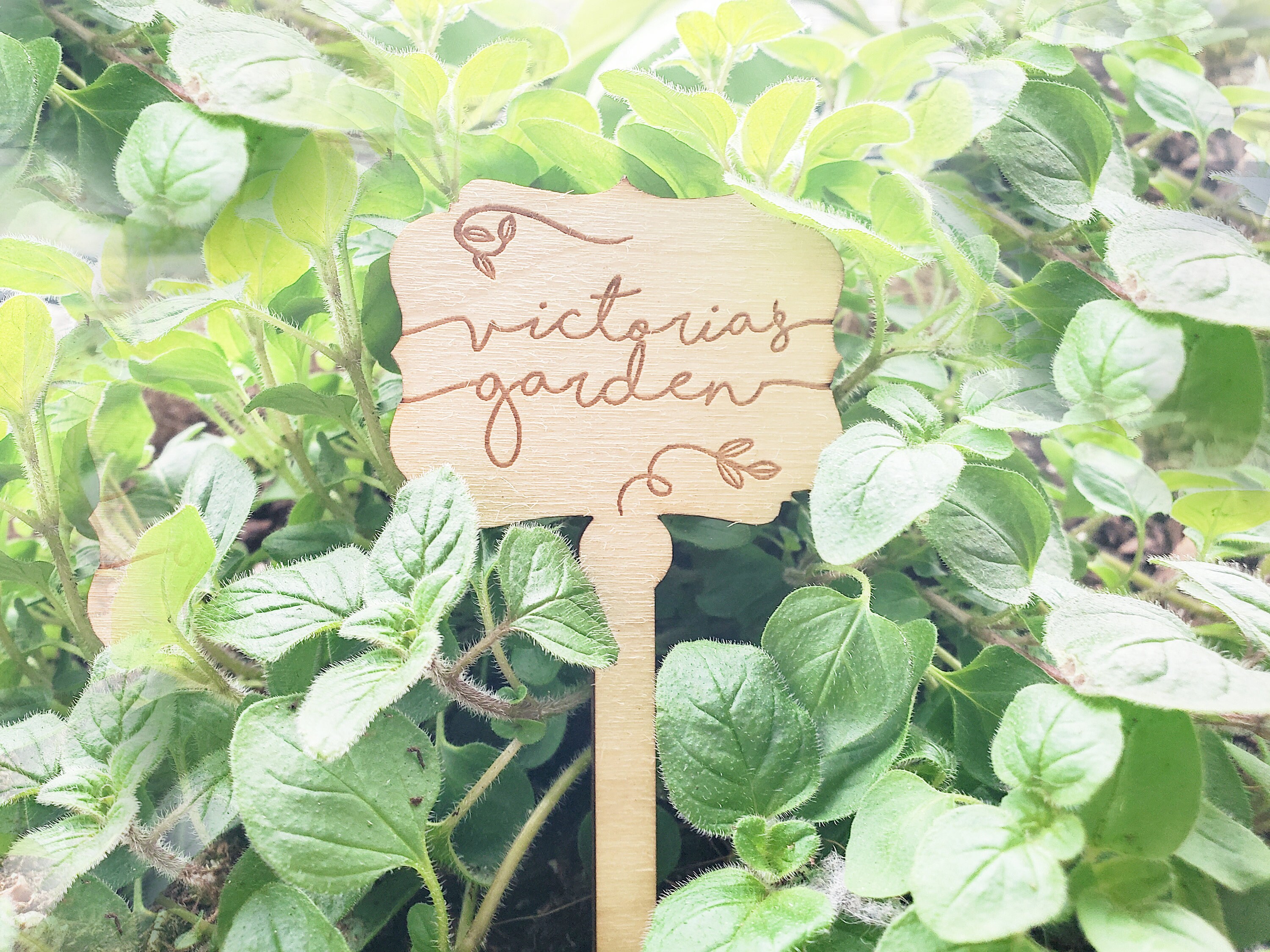Herb Garden Markers Plant Name Tags Gifts for Gardeners Custom Etsy