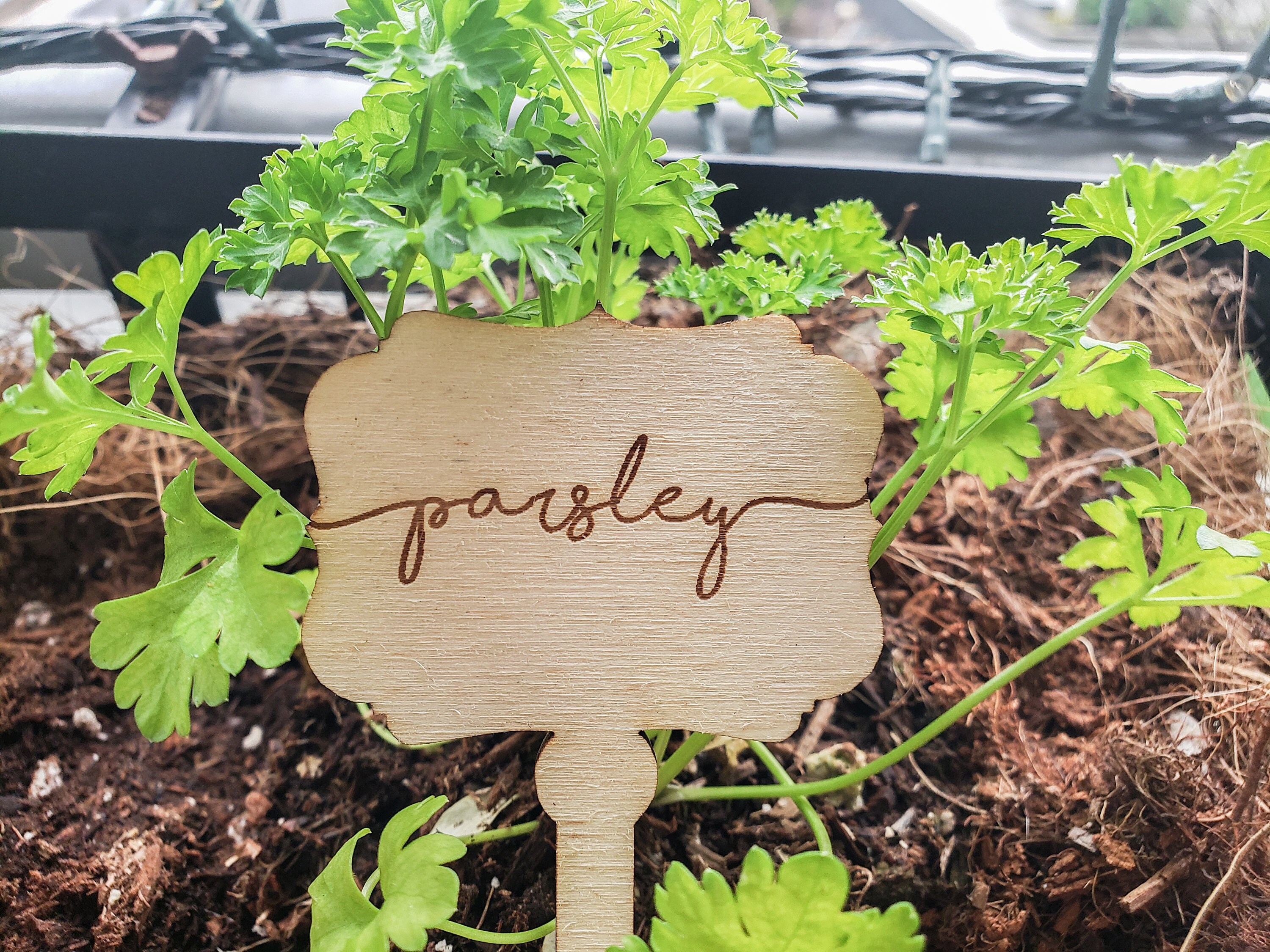 Herb Garden Markers Plant Name Tags Gifts for Gardeners Etsy