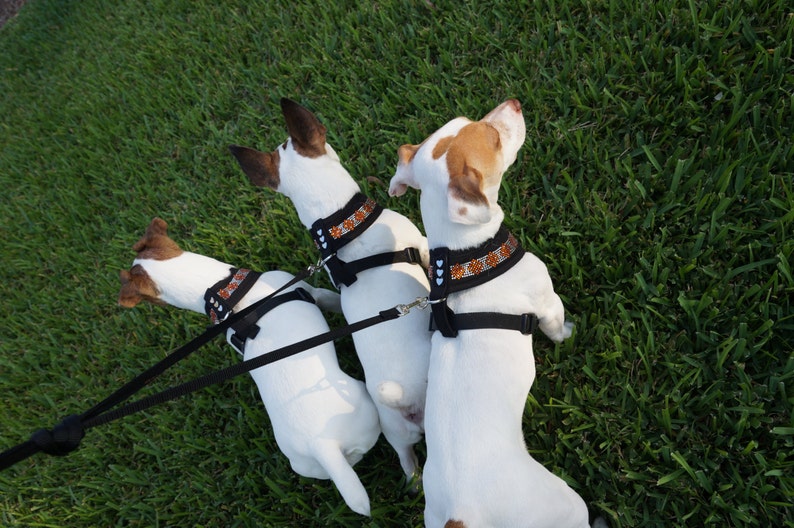 MEDIUM Pink or Red Crystal Rhinestones Blue Retails 69.99 CLEARANCE: Jeweled Dog Collar Vest Harness w FREE Matching Leash in Orange