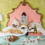 Animal Wall Art