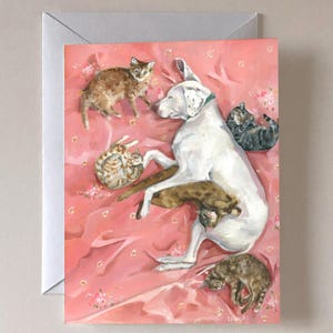 Lazy Daisy - coffret de 8 cartes, cartes vierges, oeuvre d'art Lisa Finch, studio de toile Français, carte de correspondance, oeuvre d'art sur une carte