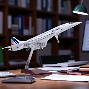 Decorazione espositiva per modello di aereo supersonico Concorde francese in scala 1:125 da 19,7 pollici