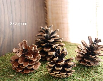 25 hand-picked cones, pine cones for crafting and decorating, florist supplies, natural material