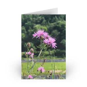 Op de natuur geïnspireerde blanco wenskaarten, kaartenset met bloemen, kruisbloemontwerp, milieuvriendelijk briefpapier, perfect voor alle gelegenheden