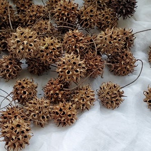 Sweet Gum Balls, for crafts, decoration in bowl, (50 pieces) these are not seeds for planting.