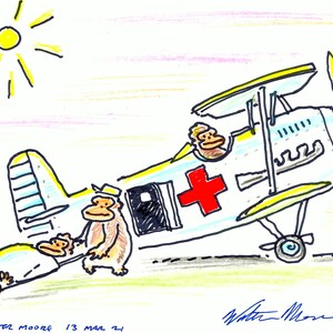 Air Ambulance Apes to the Rescue, Original Signed Cartoon Art by Walter Moore
