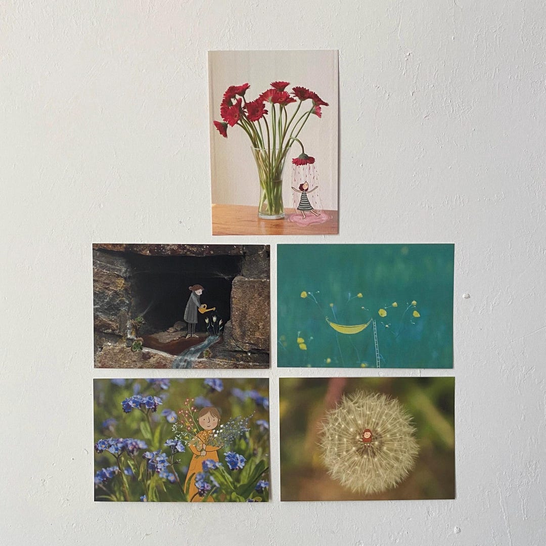 Set of 5 Postcards Flowers - Etsy