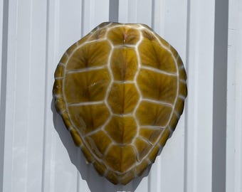 Hawksbill Turtle Shell Replica - 17 Inches - Half Mount