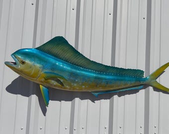 Cow Dolphin (Dorado, Mahi Mahi) Fish Mount - 51 Inches -  Full Mount Replica