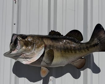 Largemouth Bass Fish Mount - 28 Inches - Full Mount Replica