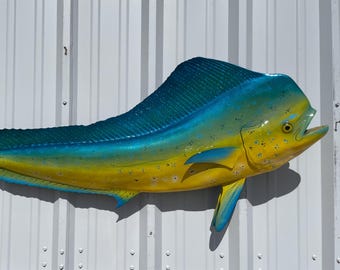 Bull Dolphin (Dorado, Mahi Mahi) Fish Mount - 56 Inches - Full Mount