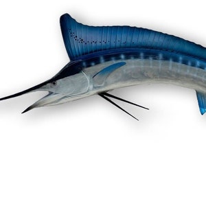 May include: A blue marlin fish with a long, sharp bill and a dorsal fin that extends almost the entire length of its back.
