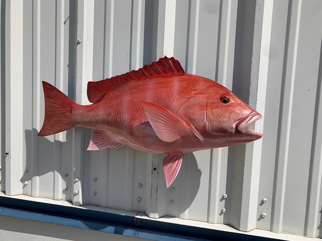 Tiny Snapper Racks Red Snapper Fish Mount - 30 Inches - Full Mount Replica - Etsy
