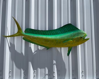 Bull Dolphin Green Hornet (Dorado, Mahi Mahi) Fish Mount - 42 Inches - Half Mount Replica