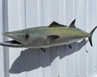 Spanish Mackerel Fish Mount - 28 Inches - Full Mount Replica