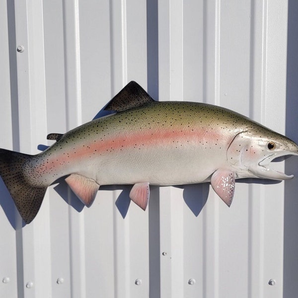Rainbow Trout Fish Mount - 25 Inches - Half Mount