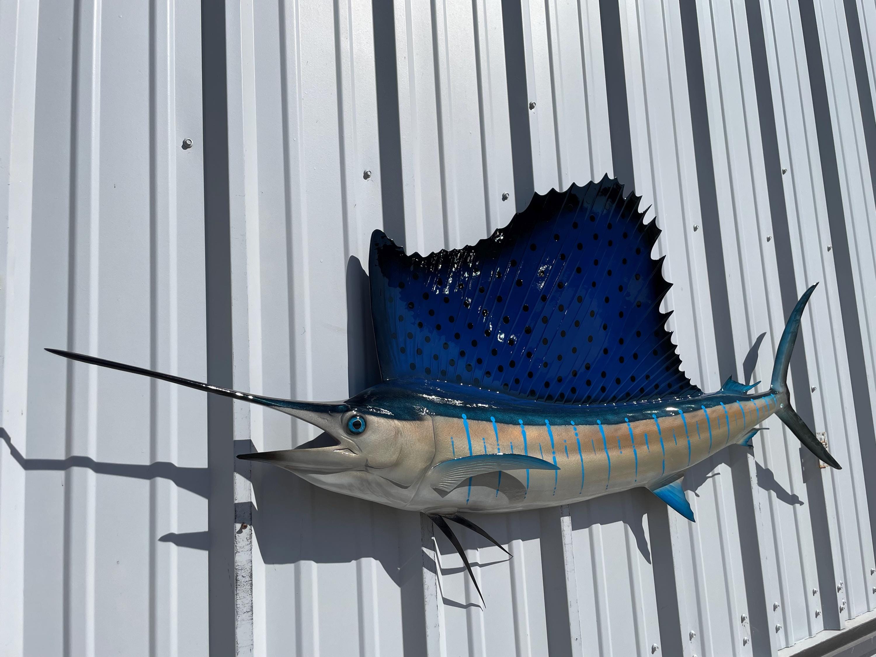 SAILFISH Hammo Sailfish HalfCarbonu0026Tint5'3 5フィン - マリン