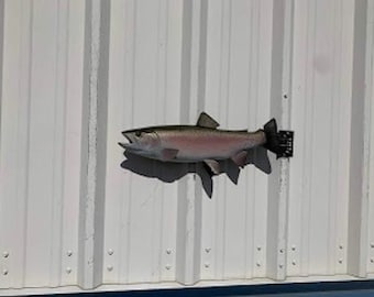 Rainbow Trout Fish Mount - 19 Inches - Full Mount Replica