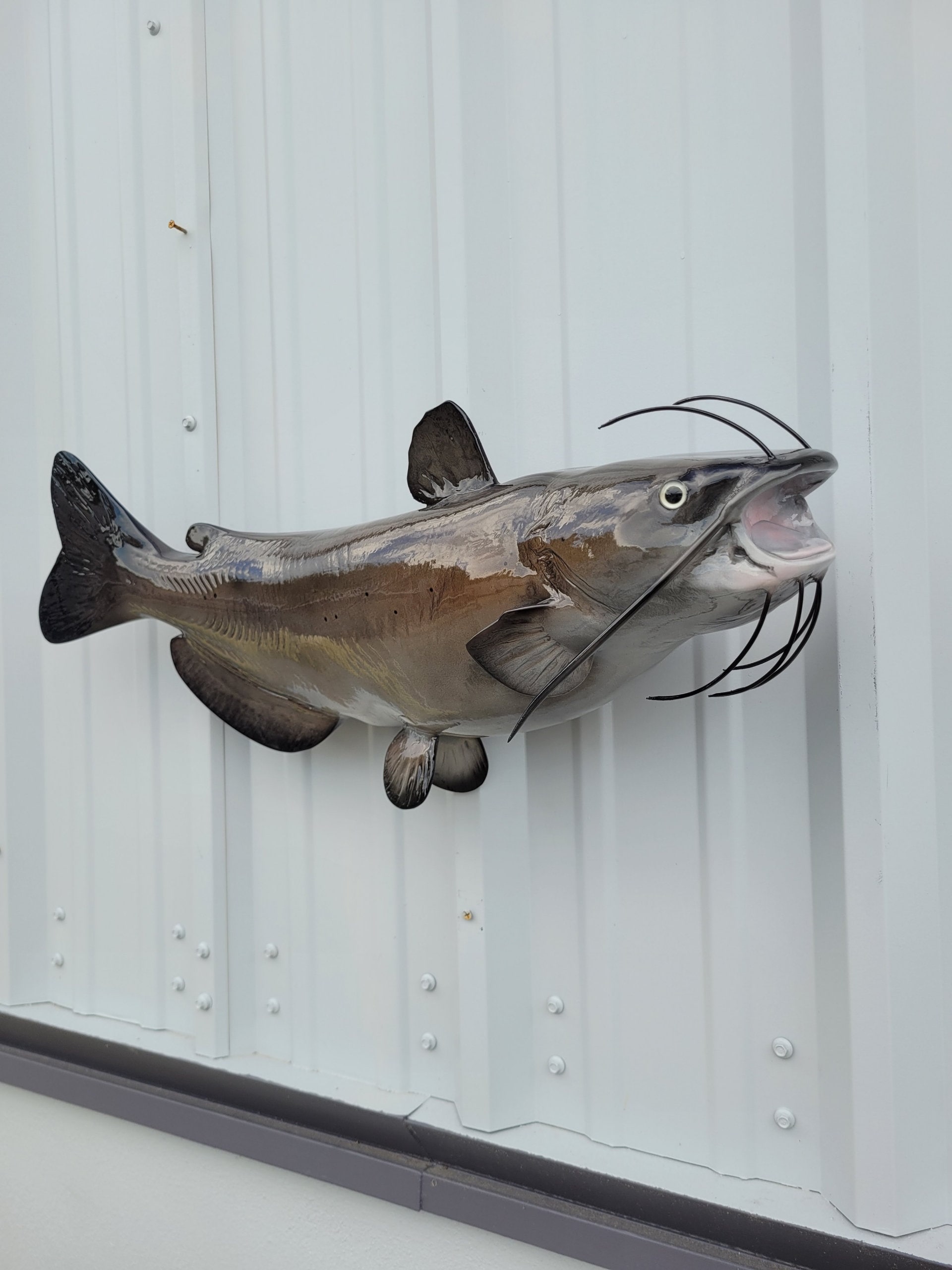 Channel Catfish Fish Mount 29 Inches Full Mount Replica 