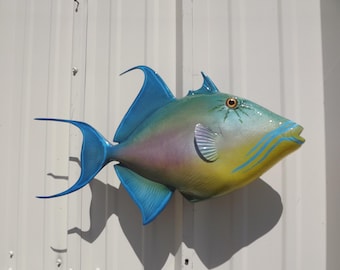 Réplica de pez ballesta reina disecado - 58 cm (23 pulgadas)