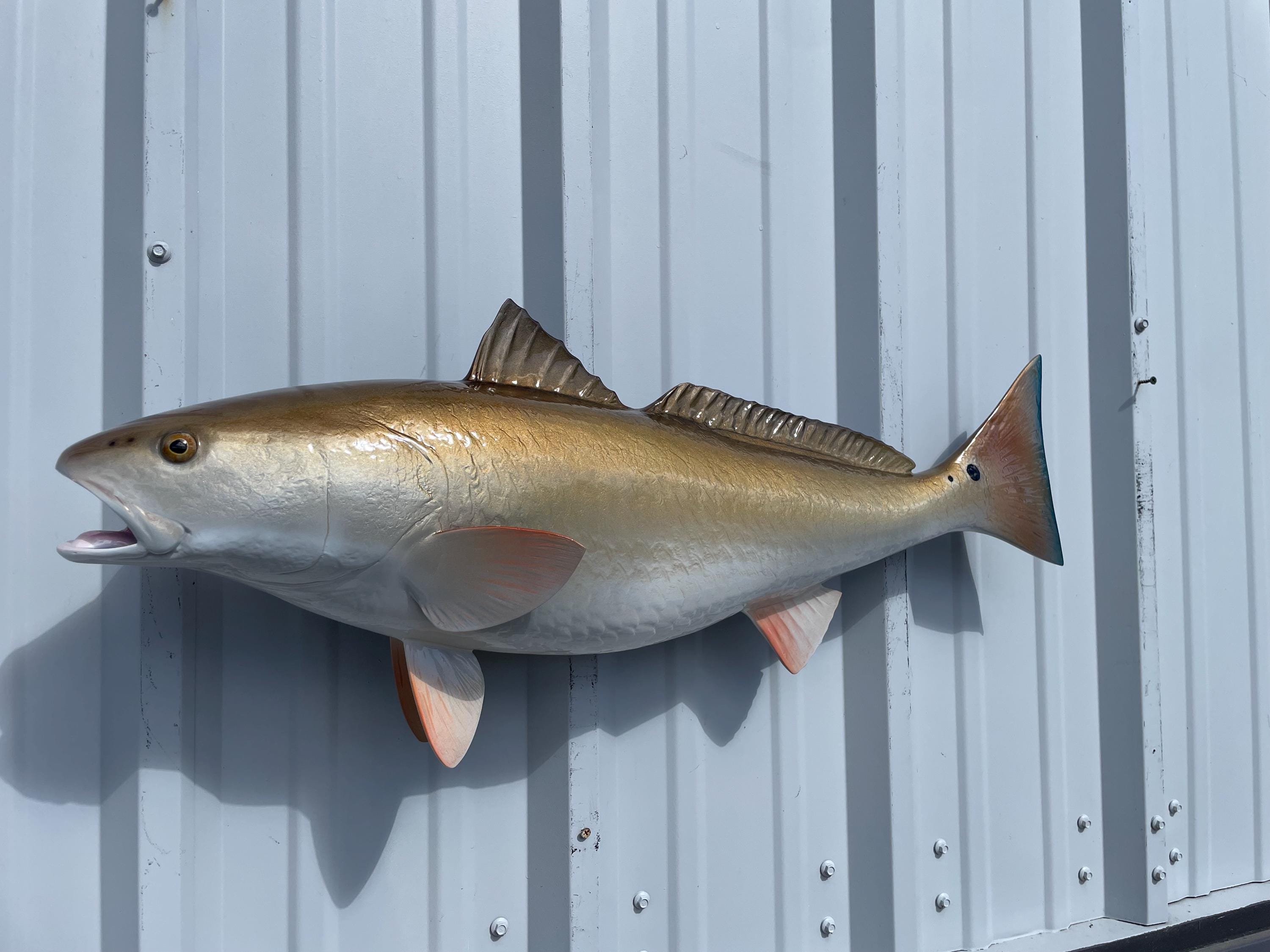 Redfish Fish Mount - 32 Inches - Full Mount Replica - Etsy