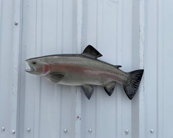 Rainbow Trout Fish Mount - 21 Inches - Full Mount Replica