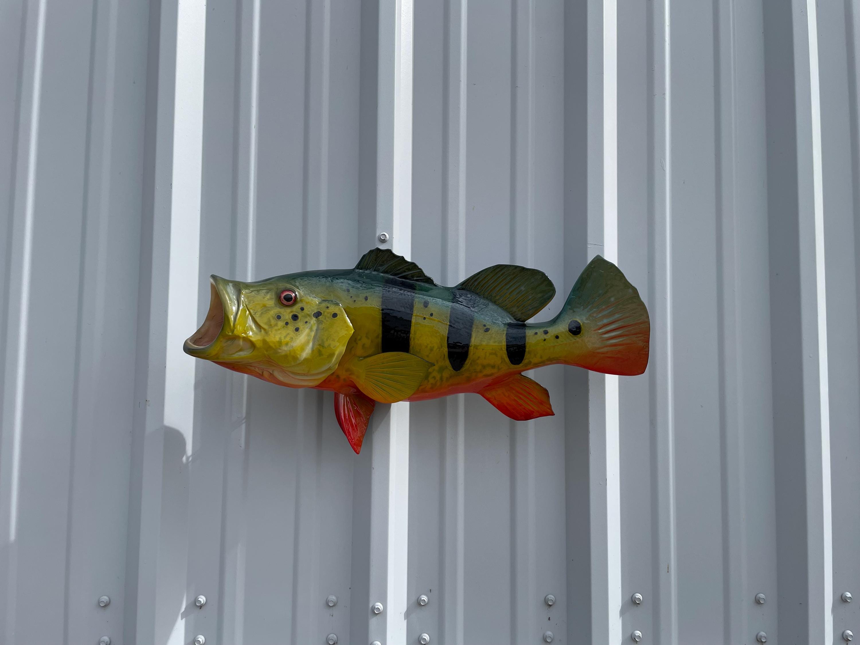 Large mouth Bass　壁掛け剥製 Large Bass Fish Wall Mount - Etsy