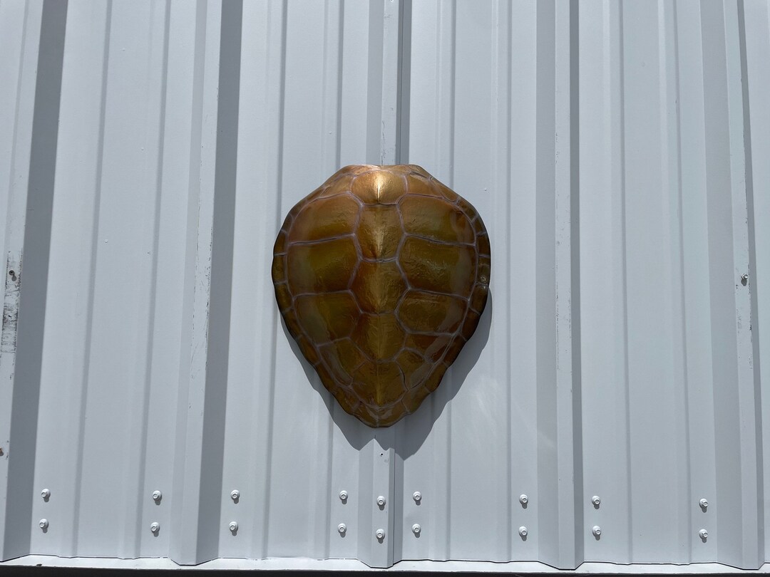 Green Turtle Shell Replica - 17 Inches - Half Mount - Etsy