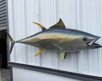 May include: A large, mounted, yellowfin tuna fish with a blue and silver body. The fish is mounted on a white wall.