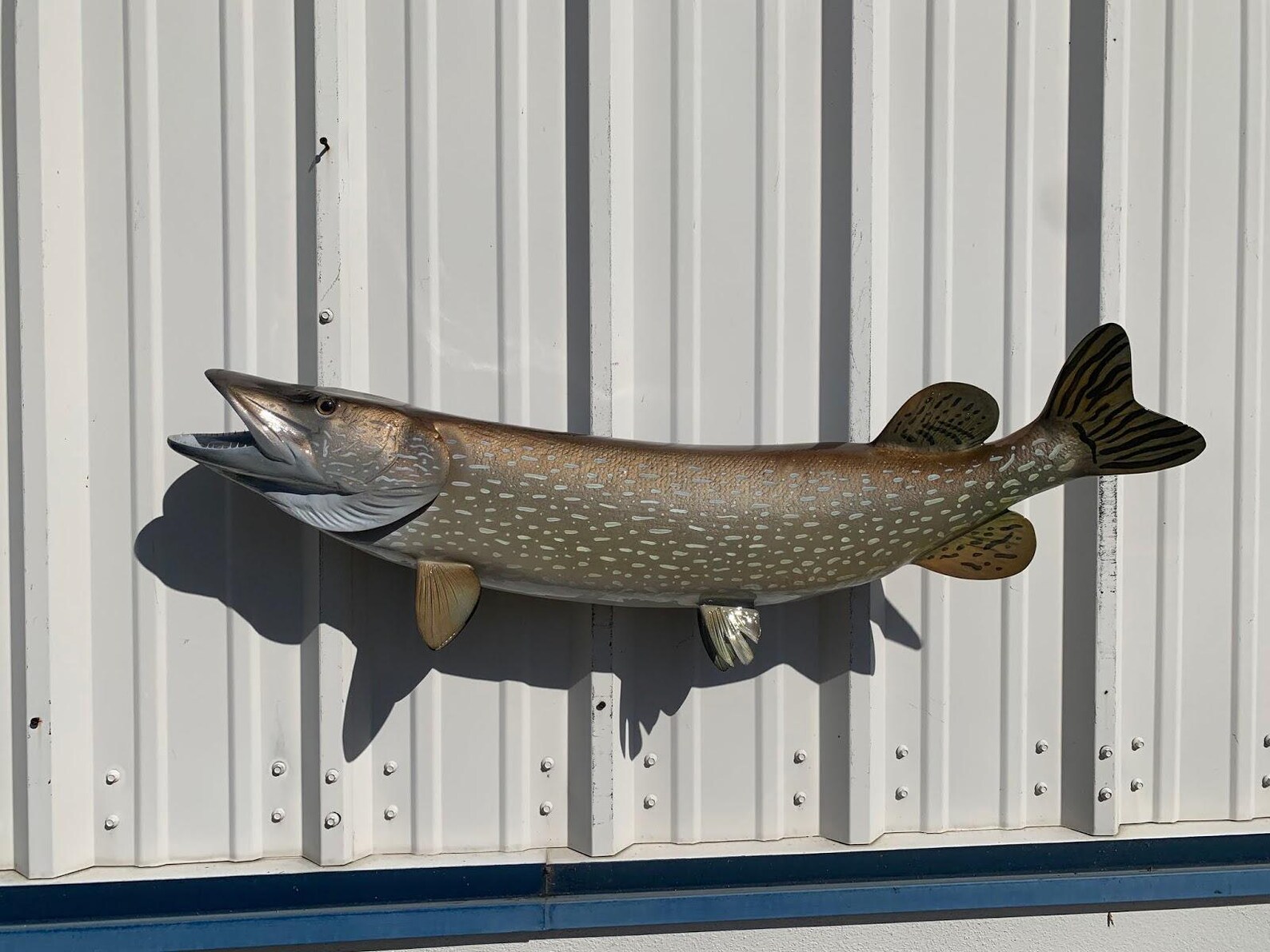 Northern Pike Fish Mount - 40 Inches - Full Mount Replica - Etsy
