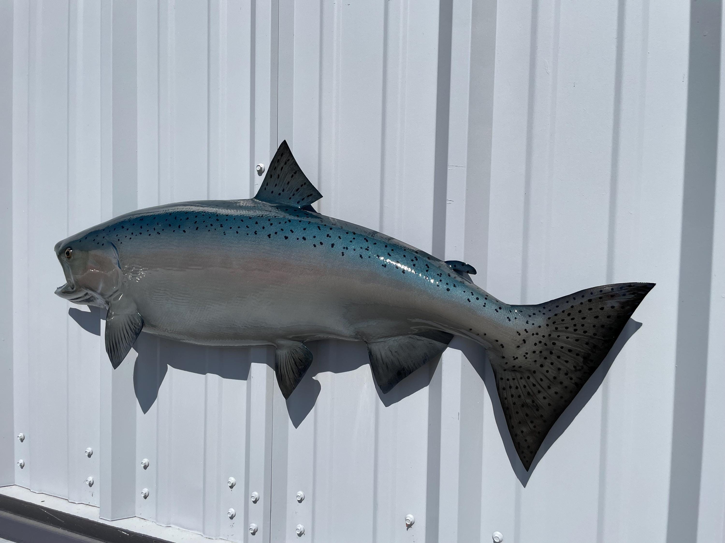 King Salmon Fish Mount - 38 Inches - Half Mount - Etsy