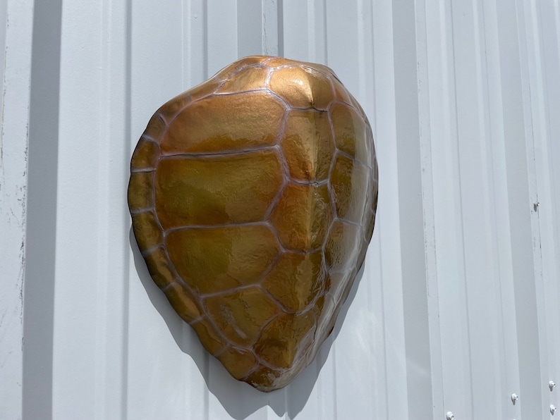 Green Turtle Shell Replica - 17 Inches - Half Mount - Etsy