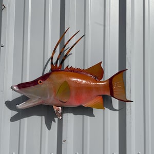 May include: A vibrant, orange and red fish sculpture with a detailed design. The fish has a pointed snout, open mouth with visible teeth, and distinctive fin extensions. The sculpture is mounted on a white, corrugated metal surface.