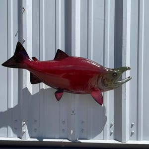 Sockeye Salmon Fish Mount - 28 Inches - Full Mount Replica
